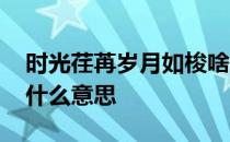 时光荏苒岁月如梭啥意思 时光飞逝岁月如梭什么意思