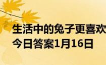 生活中的兔子更喜欢以下哪种食物 蚂蚁庄园今日答案1月16日