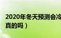 2020年冬天预测会冷吗（2020年超级寒冬是真的吗）