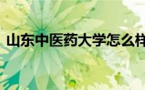 山东中医药大学怎么样 山东中医药大学贴吧