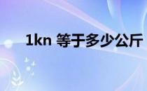 1kn 等于多少公斤 一kn等于多少公斤