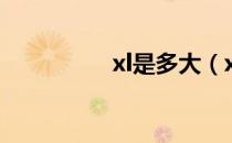 xl是多大（xl是什么码）