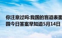 你注意过吗:我国的盲道表面通常是什么形状的凸起 蚂蚁庄园今日答案早知道5月14日