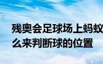 残奥会足球场上蚂蚁庄园 运动员主要通过什么来判断球的位置