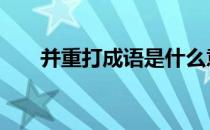 并重打成语是什么意思 并重打一成语