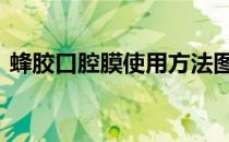 蜂胶口腔膜使用方法图解 蜂胶口腔膜怎么贴