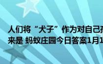 人们将“犬子”作为对自己孩子的谦称，其实，“犬子”本来是 蚂蚁庄园今日答案1月17日