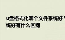 u盘格式化哪个文件系统好 WIN7格式化U盘选什么文件系统好有什么区别