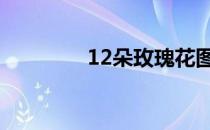 12朵玫瑰花图片 12朵玫瑰