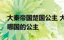 大秦帝国楚国公主 大秦帝国之纵横里姬狐是哪国的公主