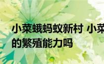 小菜蛾蚂蚁新村 小菜蛾防治难是因为其超强的繁殖能力吗