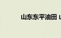 山东东平油田 山东东平政府网