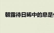 朝露待日晞中的息是什么意思 朝露待日晞