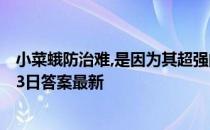 小菜蛾防治难,是因为其超强的繁殖能力,对吗 蚂蚁新村5月13日答案最新