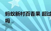 蚂蚁新村百香果 超过35度百香果就很难结果吗