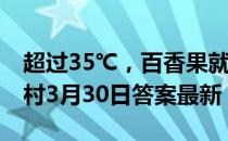 超过35℃，百香果就很难结果，对吗 蚂蚁新村3月30日答案最新