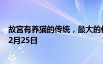 故宫有养猫的传统，最大的作用是什么 蚂蚁庄园今日答案12月25日