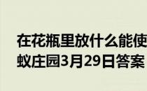 在花瓶里放什么能使花更加长寿 少量鱼露蚂蚁庄园3月29日答案