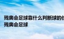 残奥会足球靠什么判断球的位置蚂蚁庄园 蚂蚁庄园今日答案残奥会足球