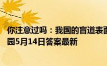 你注意过吗：我国的盲道表面通常是什么形状和凸起 蚂蚁庄园5月14日答案最新