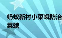 蚂蚁新村小菜蛾防治难 蚂蚁新村今日答案小菜蛾