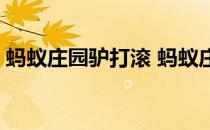 蚂蚁庄园驴打滚 蚂蚁庄园今日答案12月23日