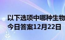 以下选项中哪种生物的生命力更强 蚂蚁庄园今日答案12月22日