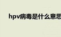 hpv病毒是什么意思（hpv病毒是什么）