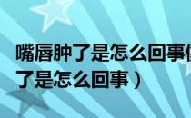 嘴唇肿了是怎么回事像蚊子叮了一样（嘴唇肿了是怎么回事）