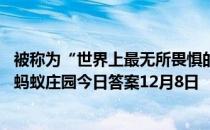 被称为“世界上最无所畏惧的动物”，人称“平头哥”的是 蚂蚁庄园今日答案12月8日