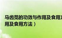 马齿苋的功效与作用及食用方法是什么（马齿苋的功效与作用及食用方法）