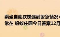 乘坐自动扶梯遇到紧急情况可以按“紧急制动按钮”，它通常在 蚂蚁庄园今日答案12月8日