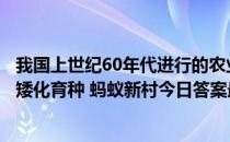 我国上世纪60年代进行的农业第一次绿色革命是杂交稻还是矮化育种 蚂蚁新村今日答案最新5.14