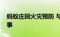 蚂蚁庄园火灾预防 与火灾预防有关的成语故事