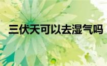 三伏天可以去湿气吗（三伏贴祛湿贴哪里）