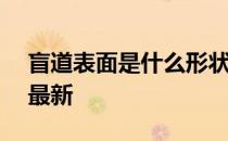 盲道表面是什么形状 蚂蚁庄园5月14日答案最新