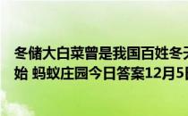 冬储大白菜曾是我国百姓冬天消费菜的主力这情况从何时开始 蚂蚁庄园今日答案12月5日