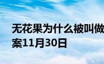 无花果为什么被叫做无花果 蚂蚁庄园今日答案11月30日