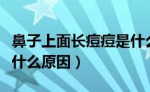 鼻子上面长痘痘是什么原因（鼻子上长痘痘是什么原因）