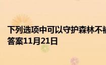 下列选项中可以守护森林不被白蚁破坏的是？ 蚂蚁庄园今日答案11月21日