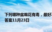 下列哪种盆栽花有毒，最好不要总是拿手碰? 蚂蚁庄园今日答案11月23日