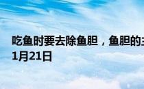 吃鱼时要去除鱼胆，鱼胆的主要危害是 蚂蚁庄园今日答案11月21日