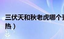 三伏天和秋老虎哪个更热（三伏天为什么这么热）