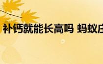 补钙就能长高吗 蚂蚁庄园今日答案11月18日