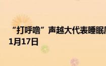 “打呼噜”声越大代表睡眠质量越好吗 蚂蚁庄园今日答案11月17日