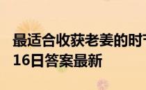 最适合收获老姜的时节是每年的 蚂蚁新村5月16日答案最新