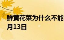 鲜黄花菜为什么不能吃 蚂蚁庄园今日答案11月13日