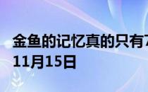 金鱼的记忆真的只有7秒吗 蚂蚁庄园今日答案11月15日