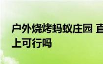 户外烧烤蚂蚁庄园 直接把液体酒精倒在木炭上可行吗