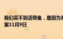 我们买不到活带鱼，是因为海鱼到淡水中后 蚂蚁庄园今日答案11月9日